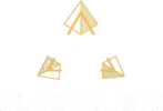 euelectronic.com